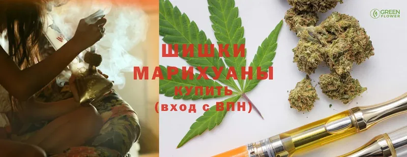 Шишки марихуана THC 21%  Гатчина 